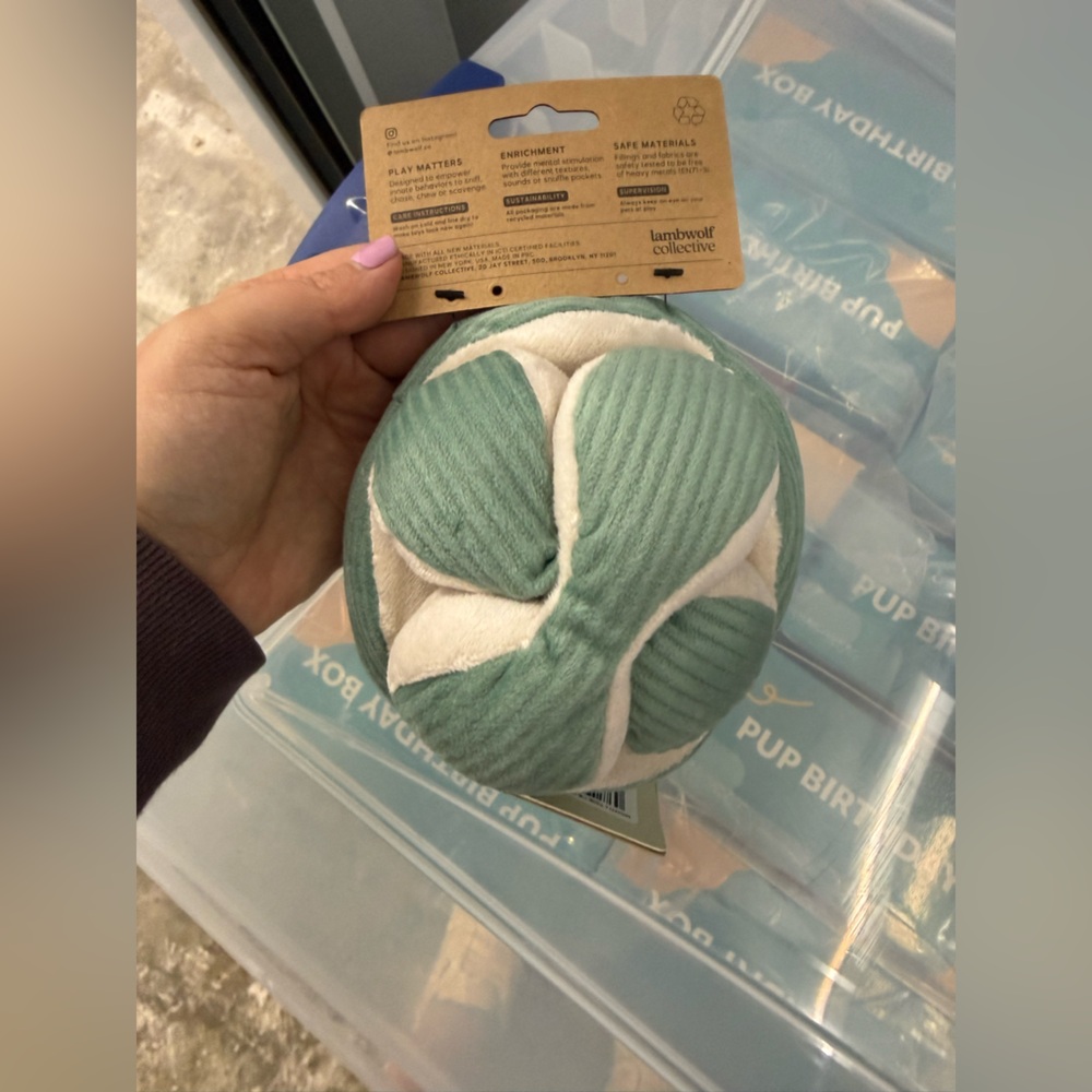 Mint Green The Monti Enrinchment Dog Toy NWT - Picture 7 of 8